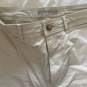 Everlane Tan/Cream Wide Leg Pant